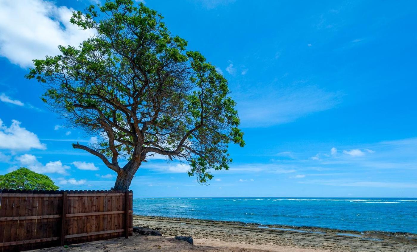 Apartamento Kauai Kailani 218 Kapa'a Exterior foto